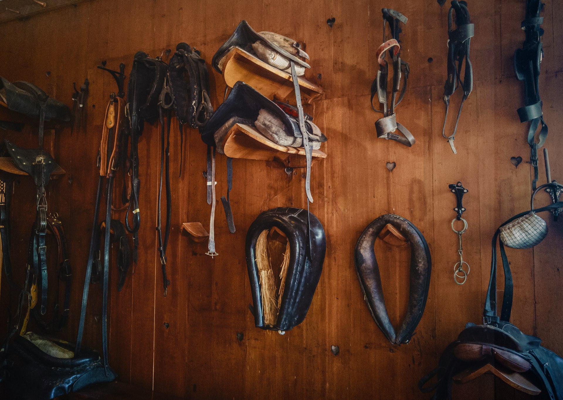 brown leather saddles on brown wall